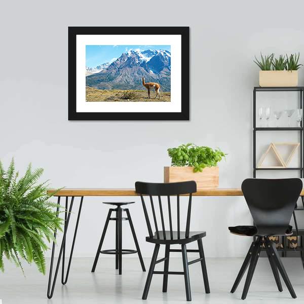 Guanaco In Torres Del Paine Canvas Wall Art-3 Horizontal-Gallery Wrap-25&quot; x 16&quot;-Tiaracle