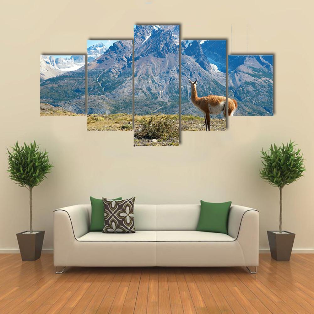 Guanaco In Torres Del Paine Canvas Wall Art-5 Star-Gallery Wrap-62&quot; x 32&quot;-Tiaracle