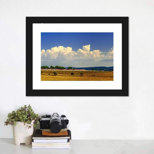Harvest Field Under Blue Sky Panoramic Canvas Wall Art-1 Piece-36" x 12"-Tiaracle