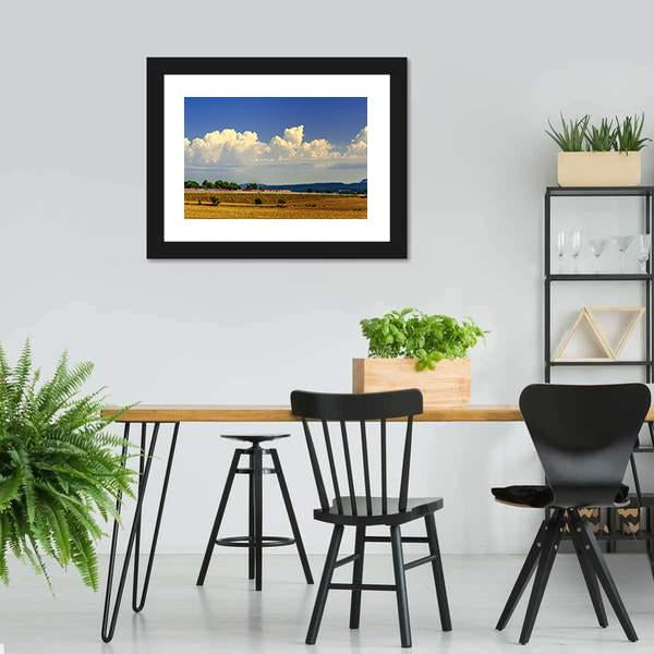 Harvest Field Under Blue Sky Panoramic Canvas Wall Art-1 Piece-36" x 12"-Tiaracle