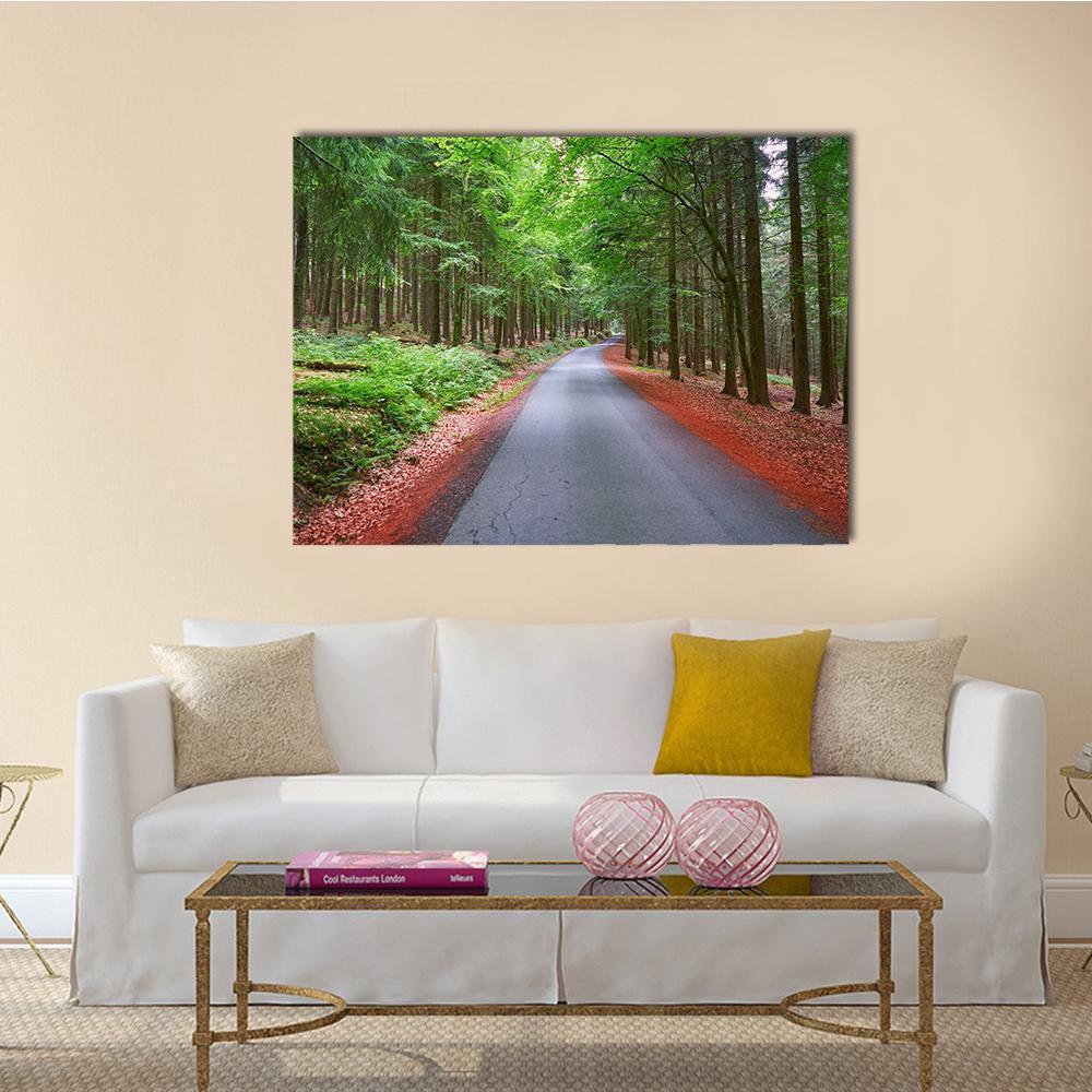 Curving Forest Road in Autumn Canvas Wall Art in gray, red and green, single panel hung on a wall