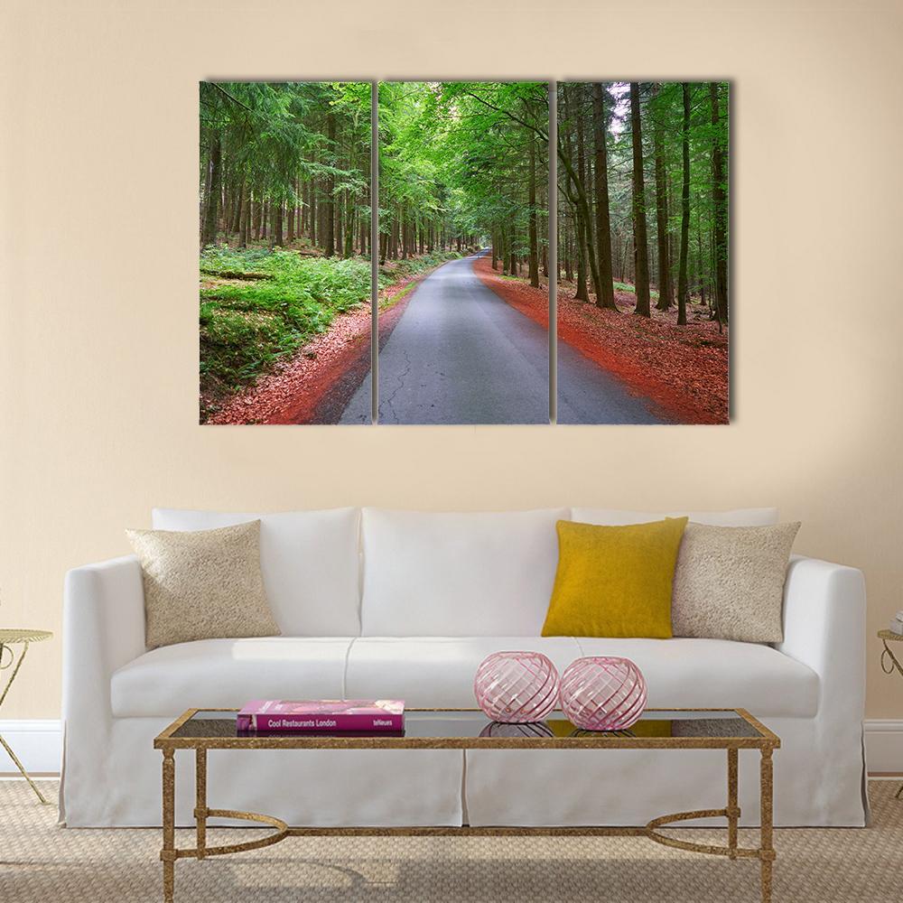 Harz Magic Mountains Forest Canvas Wall Art-3 Horizontal-Gallery Wrap-37&quot; x 24&quot;-Tiaracle