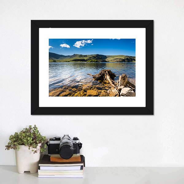Haweswater Reservoir With Old Tree Canvas Wall Art-1 Piece-Framed Print-20" x 16"-Tiaracle