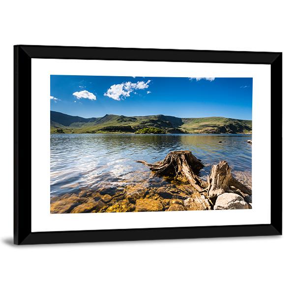 Haweswater Reservoir With Old Tree Canvas Wall Art-5 Horizontal-Gallery Wrap-22" x 12"-Tiaracle