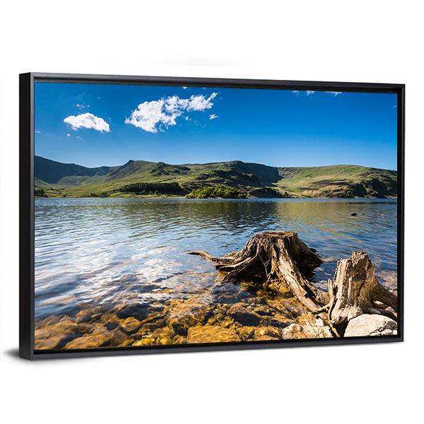 Haweswater Reservoir With Old Tree Canvas Wall Art-5 Horizontal-Gallery Wrap-22" x 12"-Tiaracle