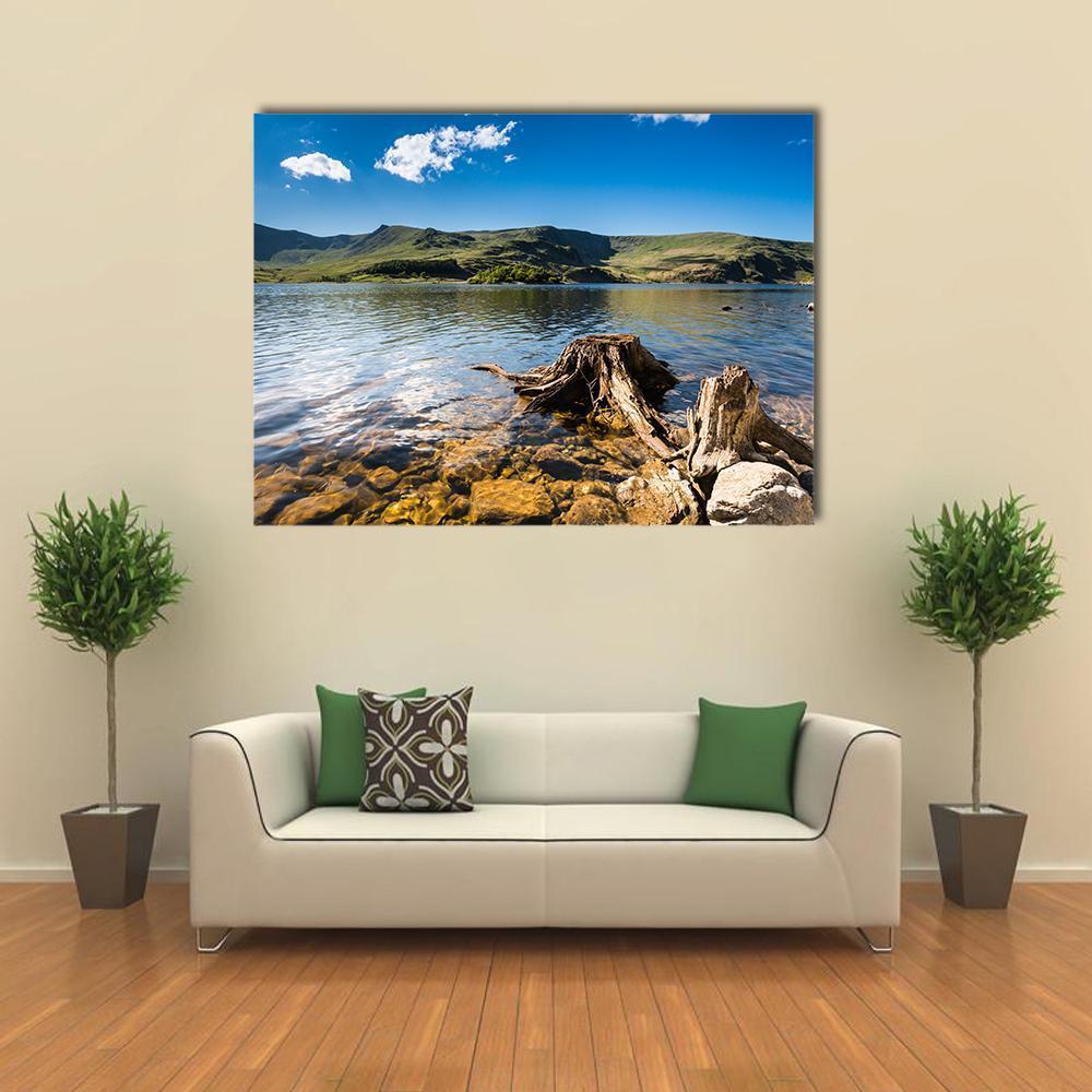 Haweswater Reservoir With Old Tree Canvas Wall Art-1 Piece-Gallery Wrap-48" x 32"-Tiaracle