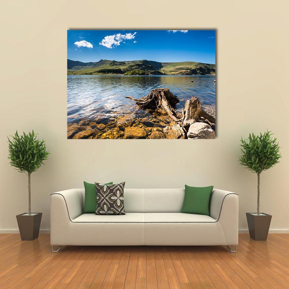 Haweswater Reservoir With Old Tree Canvas Wall Art-4 Horizontal-Gallery Wrap-34" x 24"-Tiaracle