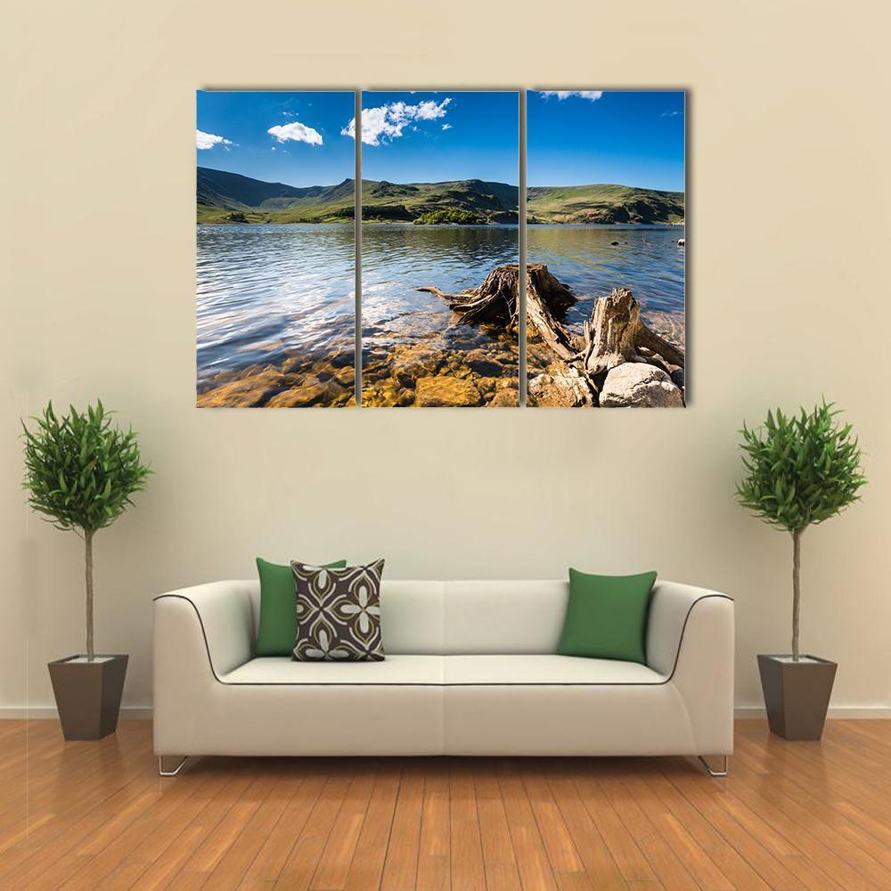 Haweswater Reservoir With Old Tree Canvas Wall Art-3 Horizontal-Gallery Wrap-37" x 24"-Tiaracle