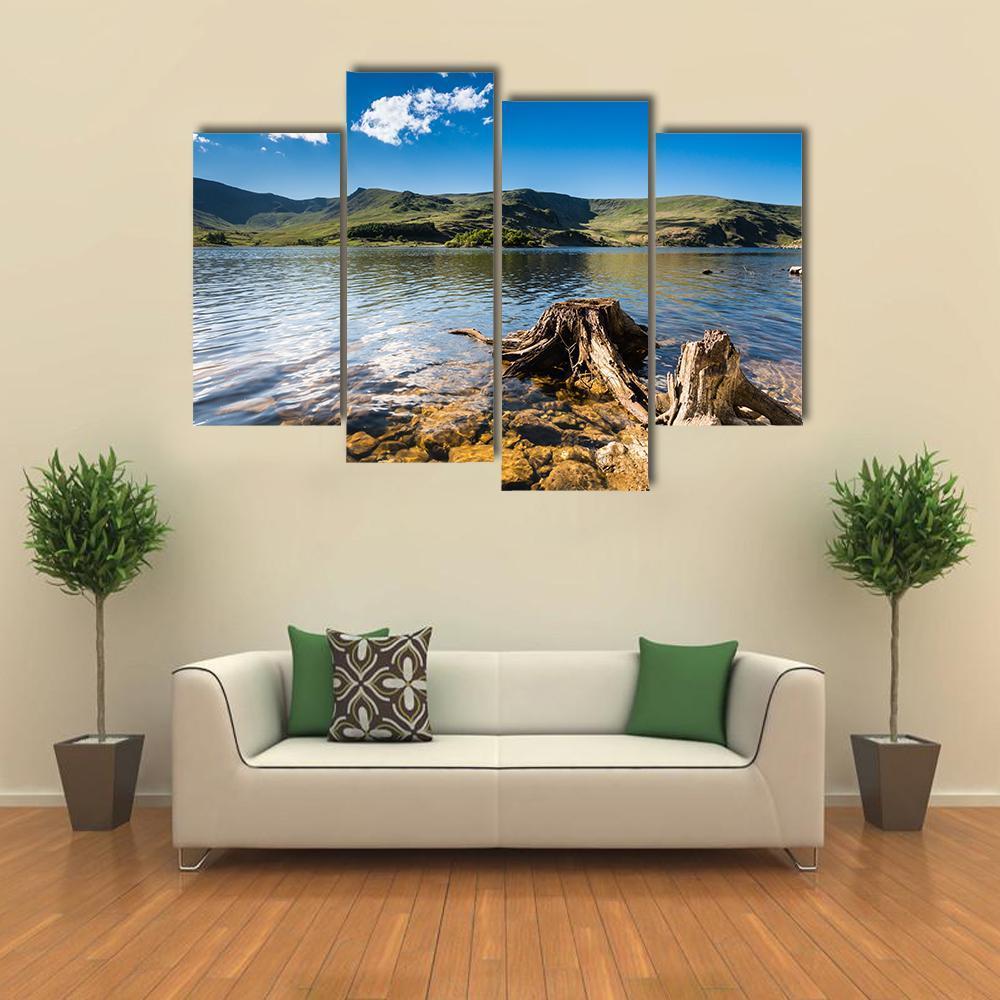 Haweswater Reservoir With Old Tree Canvas Wall Art-4 Pop-Gallery Wrap-50" x 32"-Tiaracle