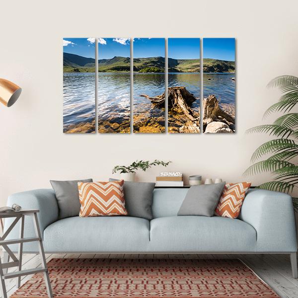 Haweswater Reservoir With Old Tree Canvas Wall Art-5 Horizontal-Gallery Wrap-22" x 12"-Tiaracle