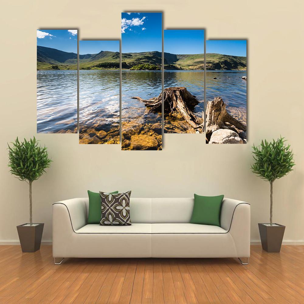 Haweswater Reservoir With Old Tree Canvas Wall Art-5 Pop-Gallery Wrap-47" x 32"-Tiaracle