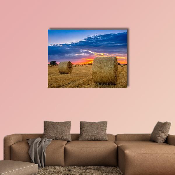 Hay Bale In Field Canvas Wall Art-4 Horizontal-Gallery Wrap-34" x 24"-Tiaracle