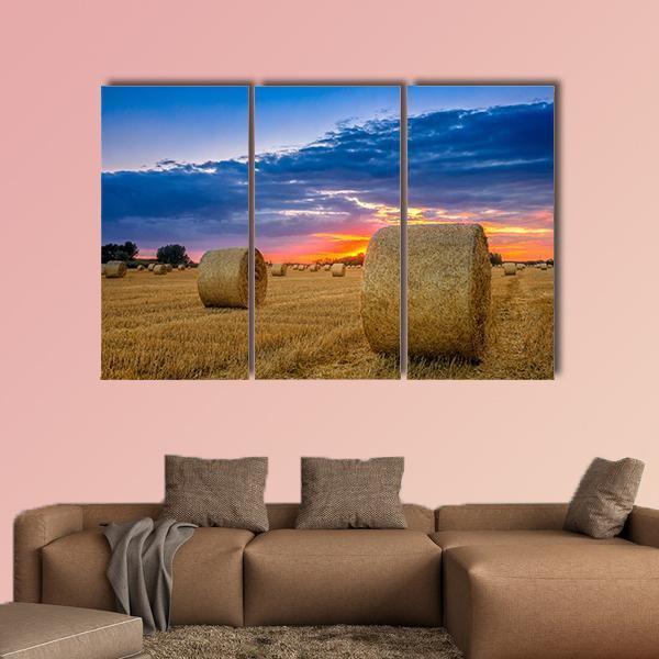 Hay Bale In Field Canvas Wall Art-3 Horizontal-Gallery Wrap-37" x 24"-Tiaracle