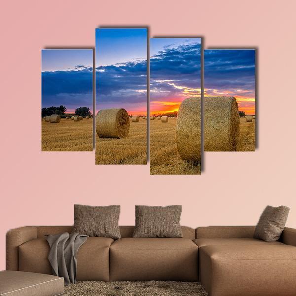 Hay Bale In Field Canvas Wall Art-4 Pop-Gallery Wrap-50" x 32"-Tiaracle