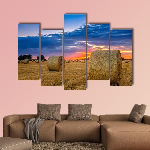 Hay Bale In Field Canvas Wall Art-5 Pop-Gallery Wrap-47" x 32"-Tiaracle