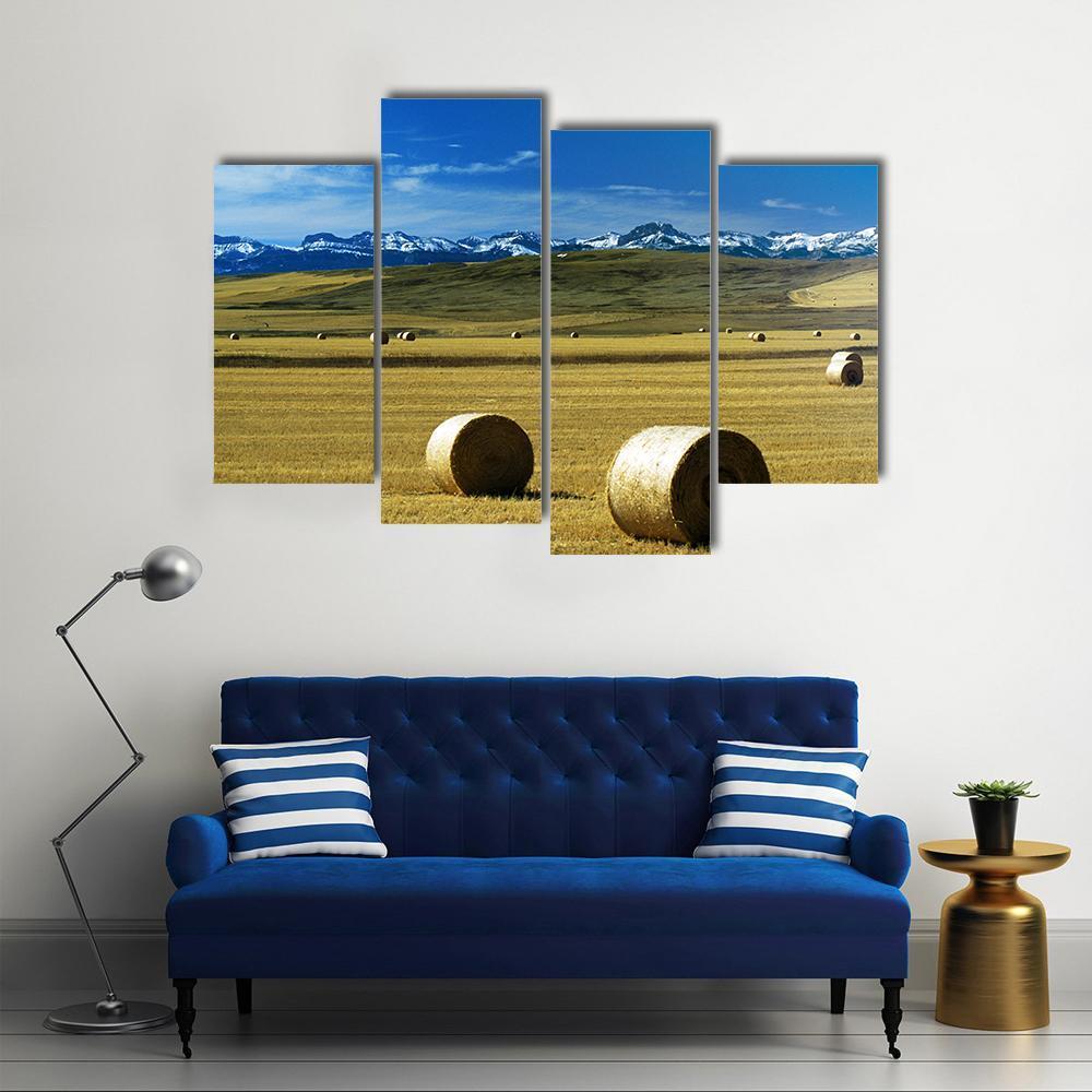Hay Bales On A Field Canvas Wall Art-4 Pop-Gallery Wrap-50" x 32"-Tiaracle