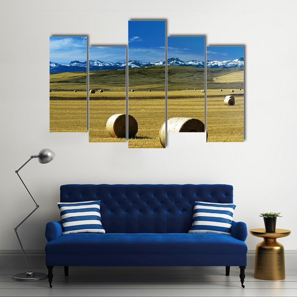 Hay Bales On A Field Canvas Wall Art-5 Pop-Gallery Wrap-47" x 32"-Tiaracle