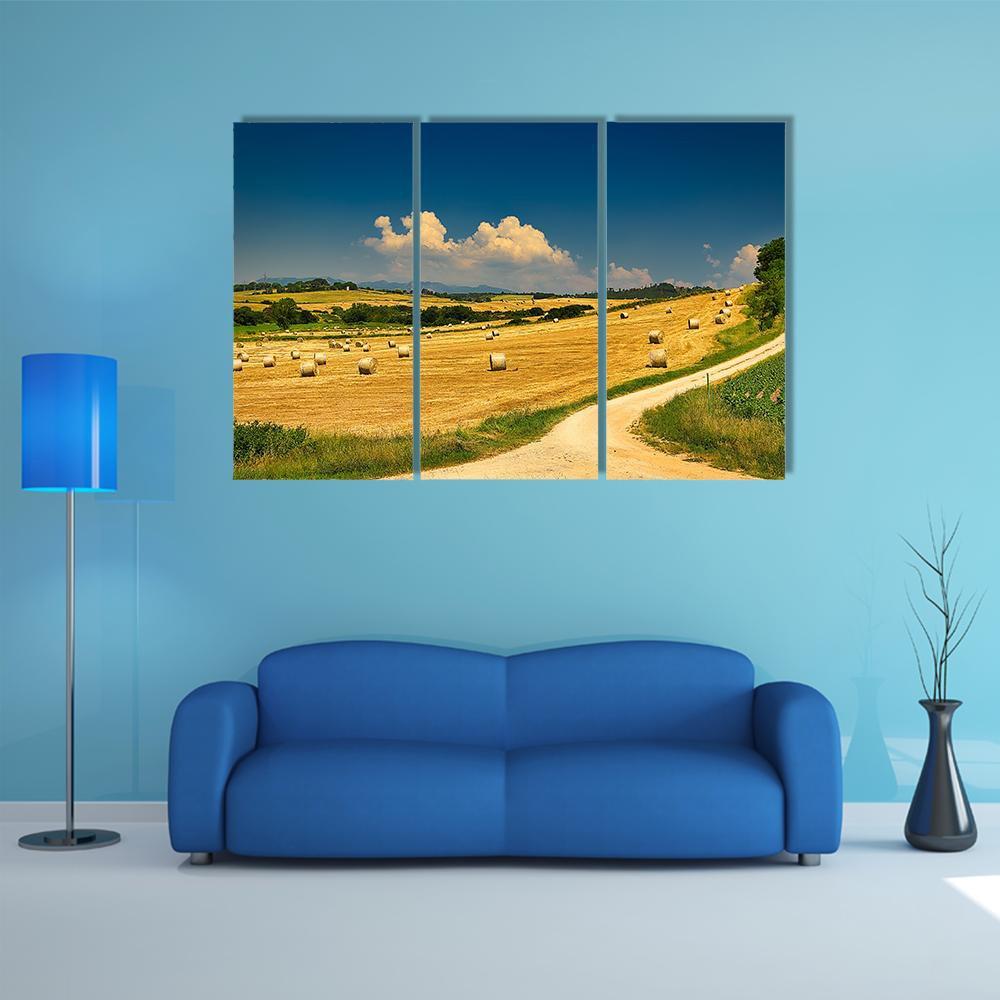 Hay Bales On Harvested Field Canvas Wall Art-3 Horizontal-Gallery Wrap-37" x 24"-Tiaracle