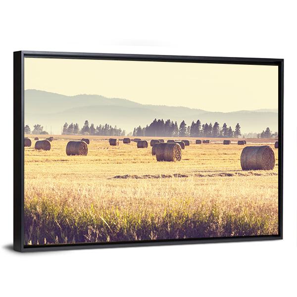 Hay Fields Canvas Wall Art-3 Horizontal-Gallery Wrap-25" x 16"-Tiaracle