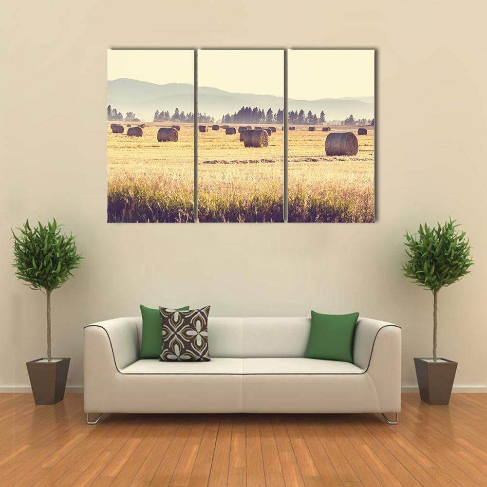 Hay Fields Canvas Wall Art-3 Horizontal-Gallery Wrap-37" x 24"-Tiaracle