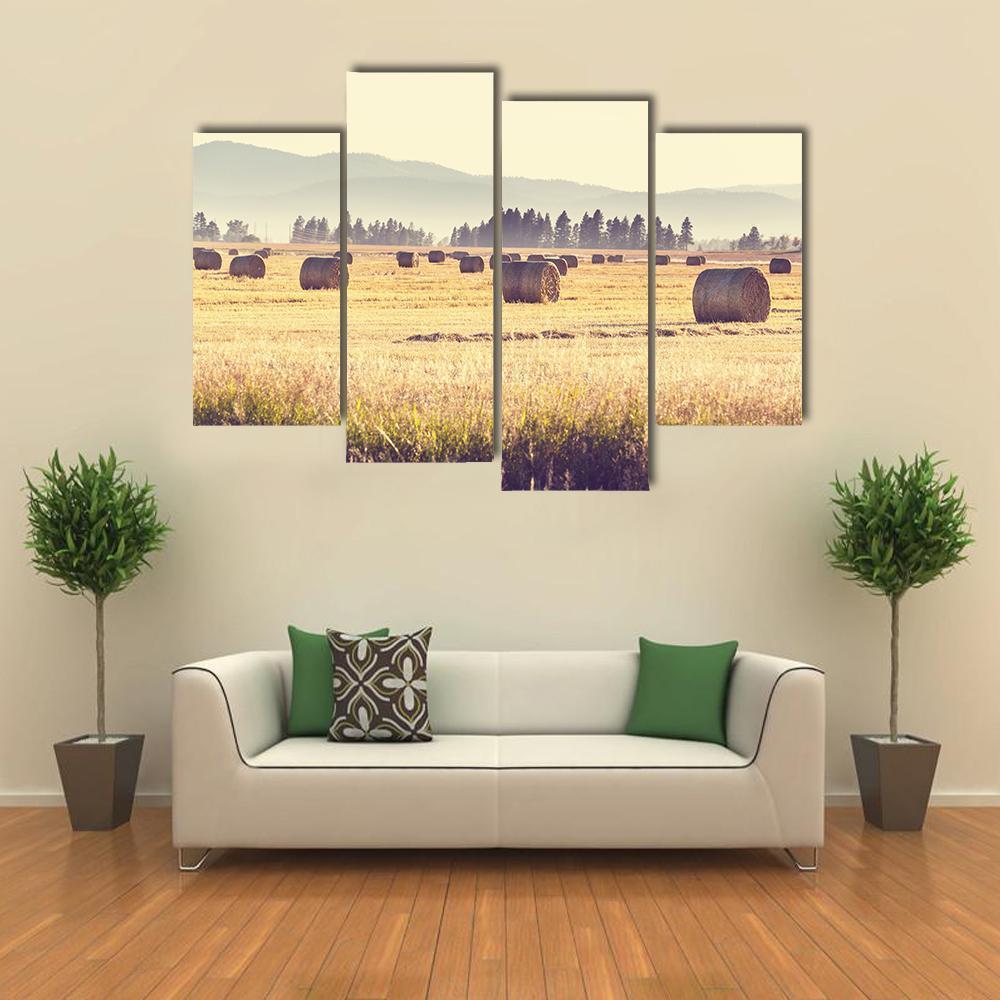 Hay Fields Canvas Wall Art-4 Pop-Gallery Wrap-50" x 32"-Tiaracle