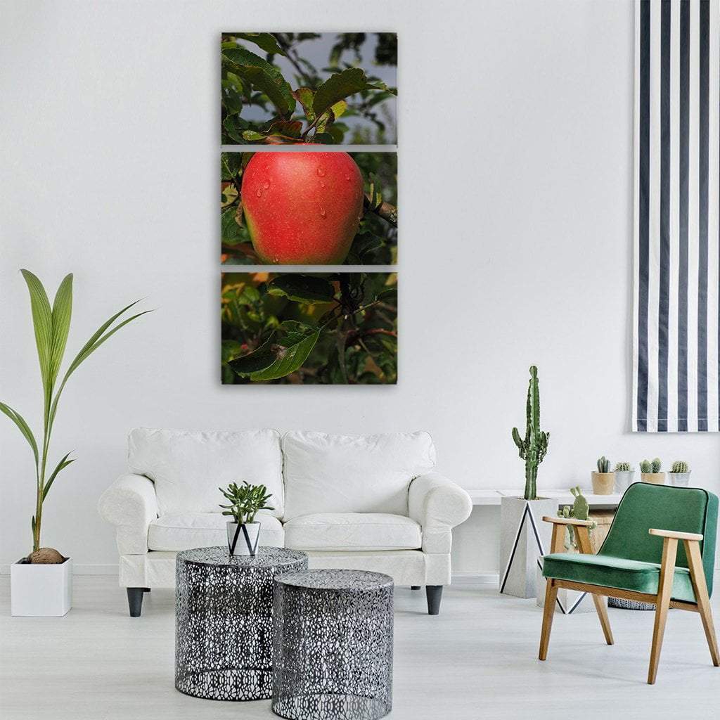 Red Apple Vertical Canvas Wall Art-3 Vertical-Gallery Wrap-12" x 25"-Tiaracle