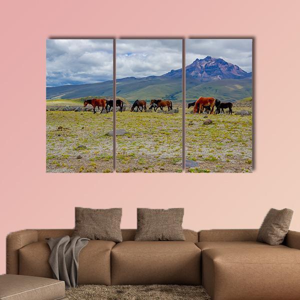 Herd Of Wild Horses Canvas Wall Art-3 Horizontal-Gallery Wrap-25" x 16"-Tiaracle