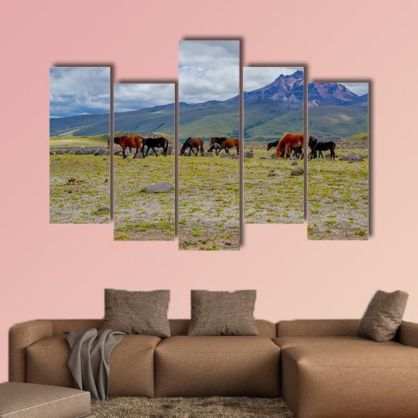 Herd Of Wild Horses Canvas Wall Art-5 Pop-Gallery Wrap-47" x 32"-Tiaracle