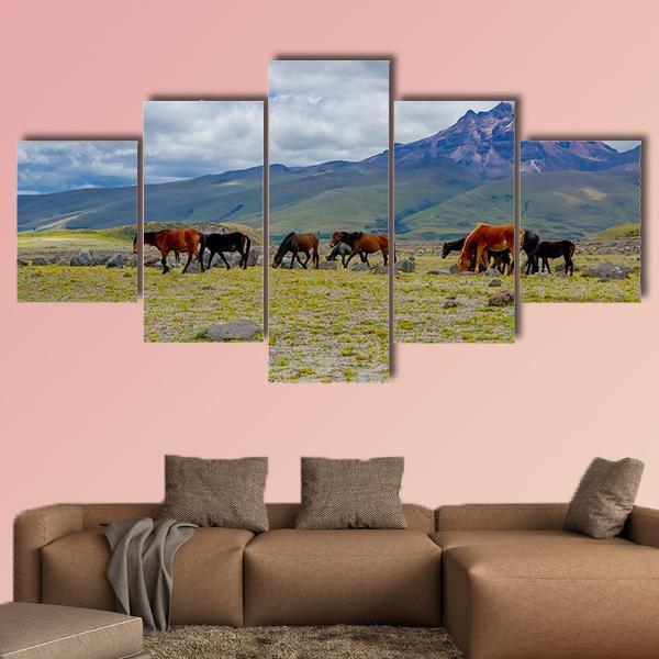 Herd Of Wild Horses Canvas Wall Art-5 Star-Gallery Wrap-62" x 32"-Tiaracle
