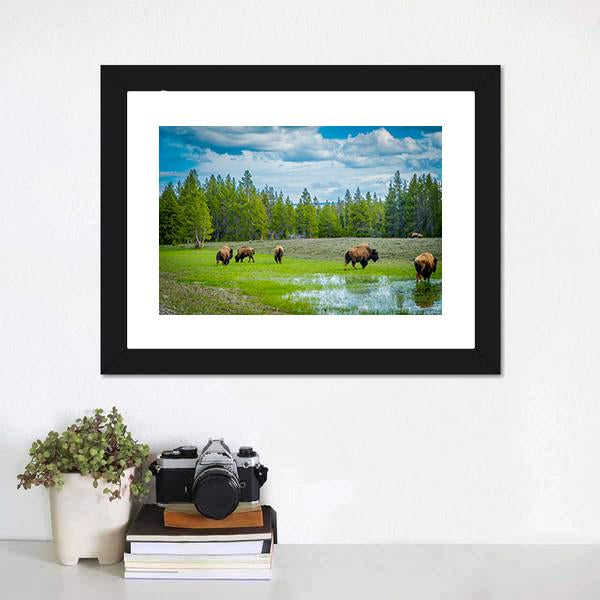 Herd Of Bison Canvas Wall Art-1 Piece-Framed Print-20" x 16"-Tiaracle