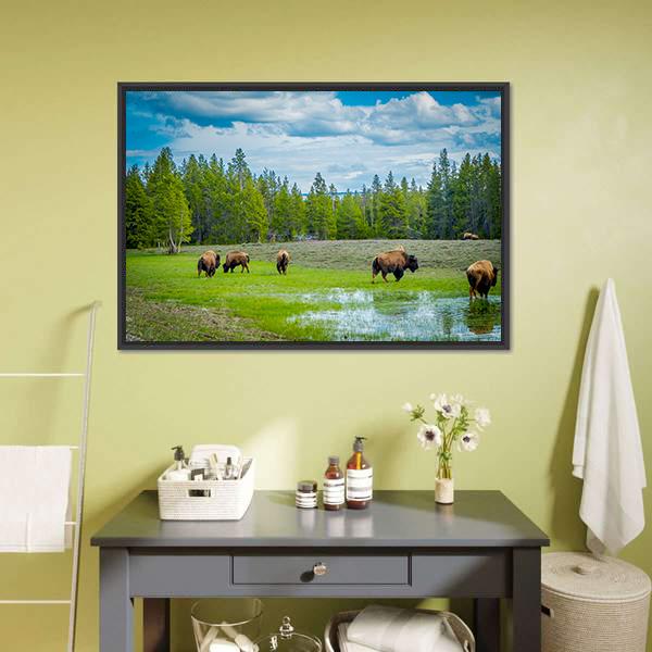 Herd Of Bison Canvas Wall Art-1 Piece-Floating Frame-24" x 16"-Tiaracle