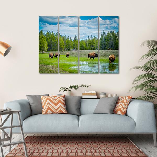 Herd Of Bison Canvas Wall Art-4 Horizontal-Gallery Wrap-34" x 24"-Tiaracle