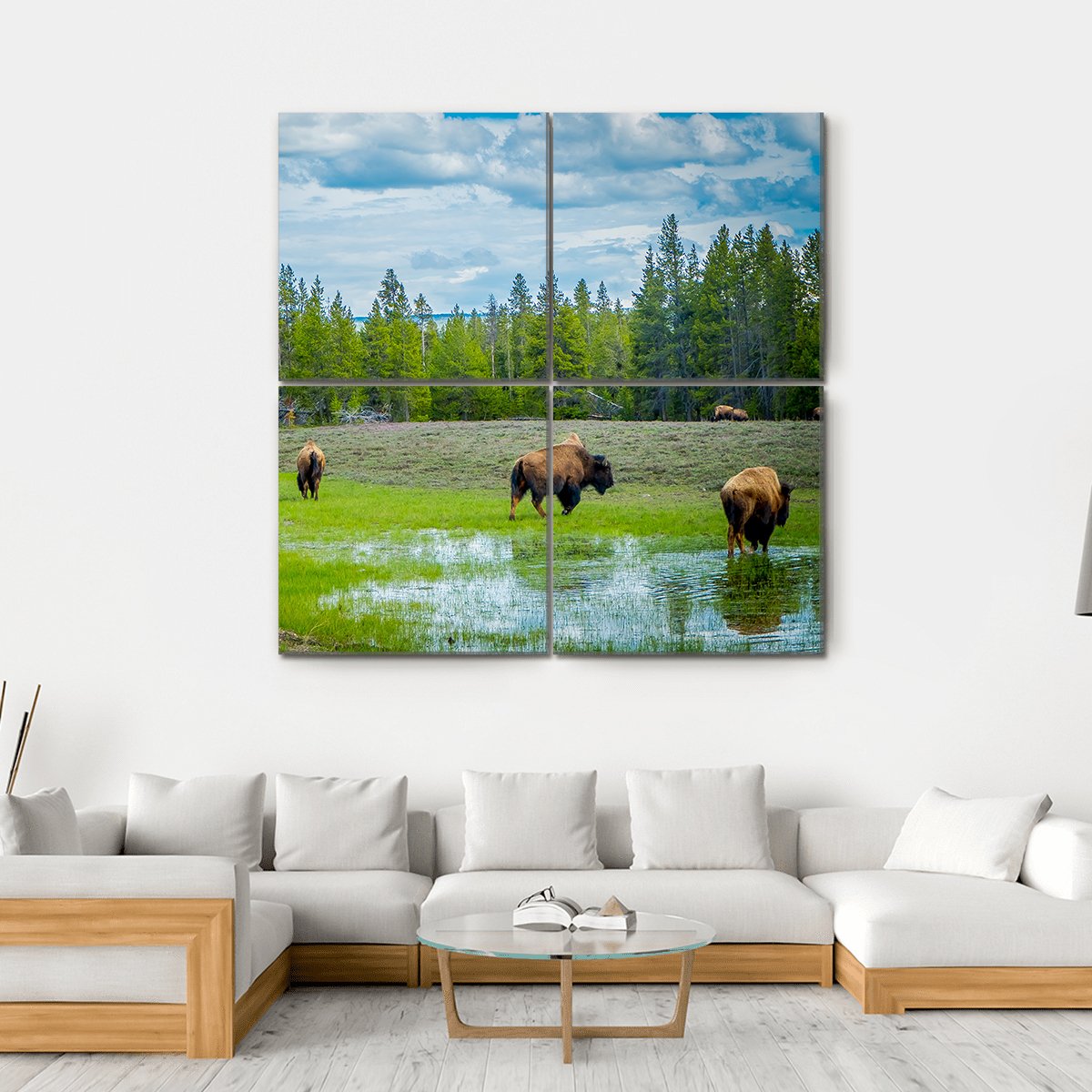 Herd Of Bison Canvas Wall Art-4 Square-Gallery Wrap-17" x 17"-Tiaracle