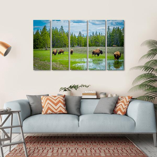 Herd Of Bison Canvas Wall Art-5 Horizontal-Gallery Wrap-22" x 12"-Tiaracle