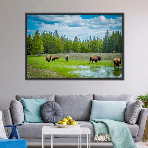 Herd Of Bison Canvas Wall Art-3 Horizontal-Gallery Wrap-25" x 16"-Tiaracle