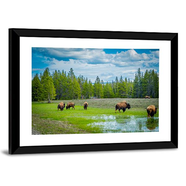 Herd Of Bison Canvas Wall Art-5 Horizontal-Gallery Wrap-22" x 12"-Tiaracle