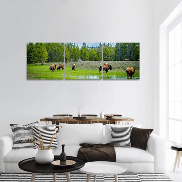 Herd of Bison in Green Meadow Panoramic Canvas Wall Art in brown, green and blue, hung on a wall