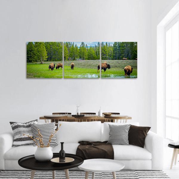 Herd Of Bison Panoramic Canvas Wall Art-1 Piece-36" x 12"-Tiaracle