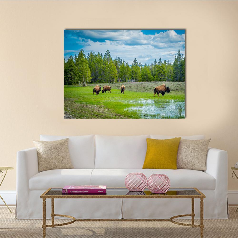 Herd Of Bison Canvas Wall Art-1 Piece-Gallery Wrap-48" x 32"-Tiaracle