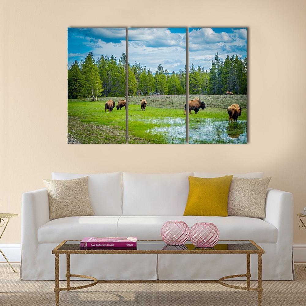 Herd Of Bison Canvas Wall Art-3 Horizontal-Gallery Wrap-37" x 24"-Tiaracle