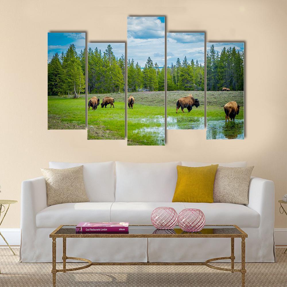 Herd Of Bison Canvas Wall Art-5 Pop-Gallery Wrap-47" x 32"-Tiaracle