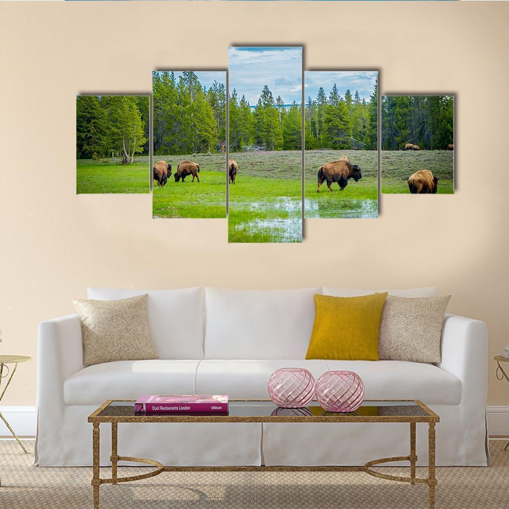 Herd Of Bison Canvas Wall Art-5 Star-Gallery Wrap-62" x 32"-Tiaracle