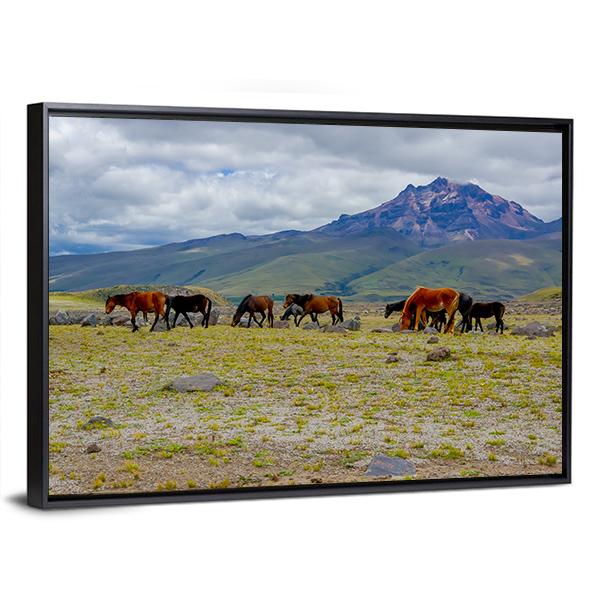 Herd Of Wild Horses Canvas Wall Art-3 Horizontal-Gallery Wrap-25" x 16"-Tiaracle