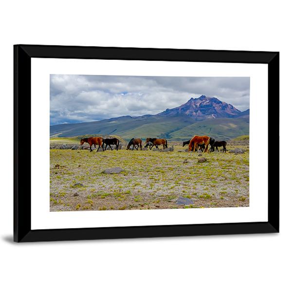 Herd Of Wild Horses Canvas Wall Art-3 Horizontal-Gallery Wrap-25" x 16"-Tiaracle