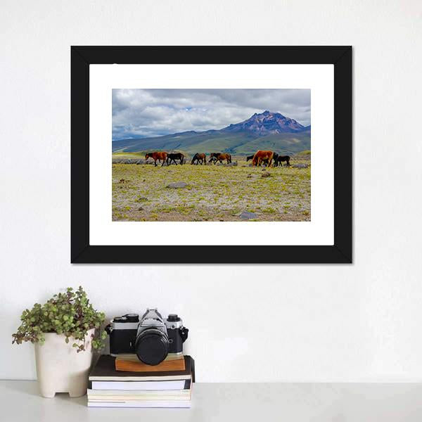 Herd Of Wild Horses Canvas Wall Art-1 Piece-Framed Print-20" x 16"-Tiaracle