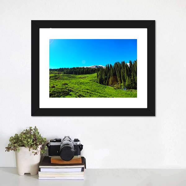 High Mountains &amp; Green Meadows Canvas Wall Art-1 Piece-Framed Print-20" x 16"-Tiaracle