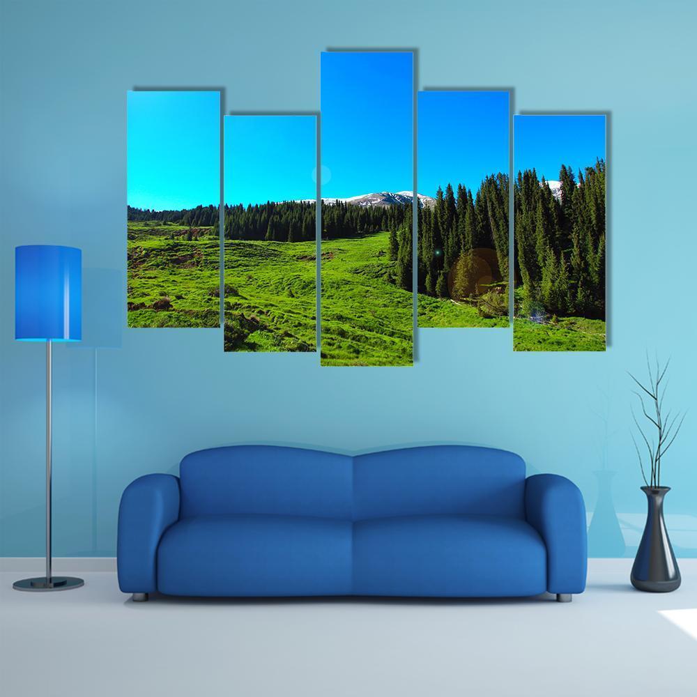 High Mountains & Green Meadows Canvas Wall Art-5 Pop-Gallery Wrap-47" x 32"-Tiaracle