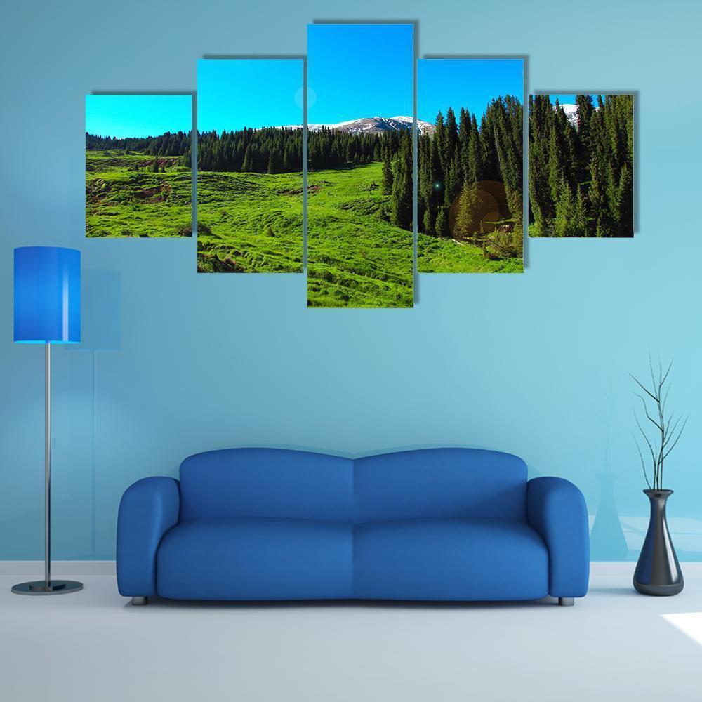 High Mountains & Green Meadows Canvas Wall Art-5 Pop-Gallery Wrap-47" x 32"-Tiaracle