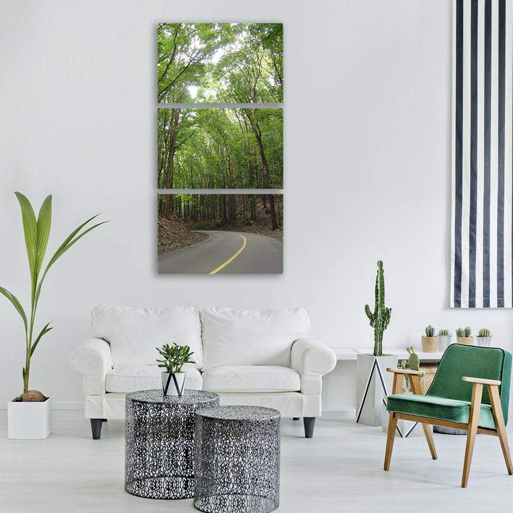 Highway In Philippines Forest Vertical Canvas Wall Art-3 Vertical-Gallery Wrap-12" x 25"-Tiaracle