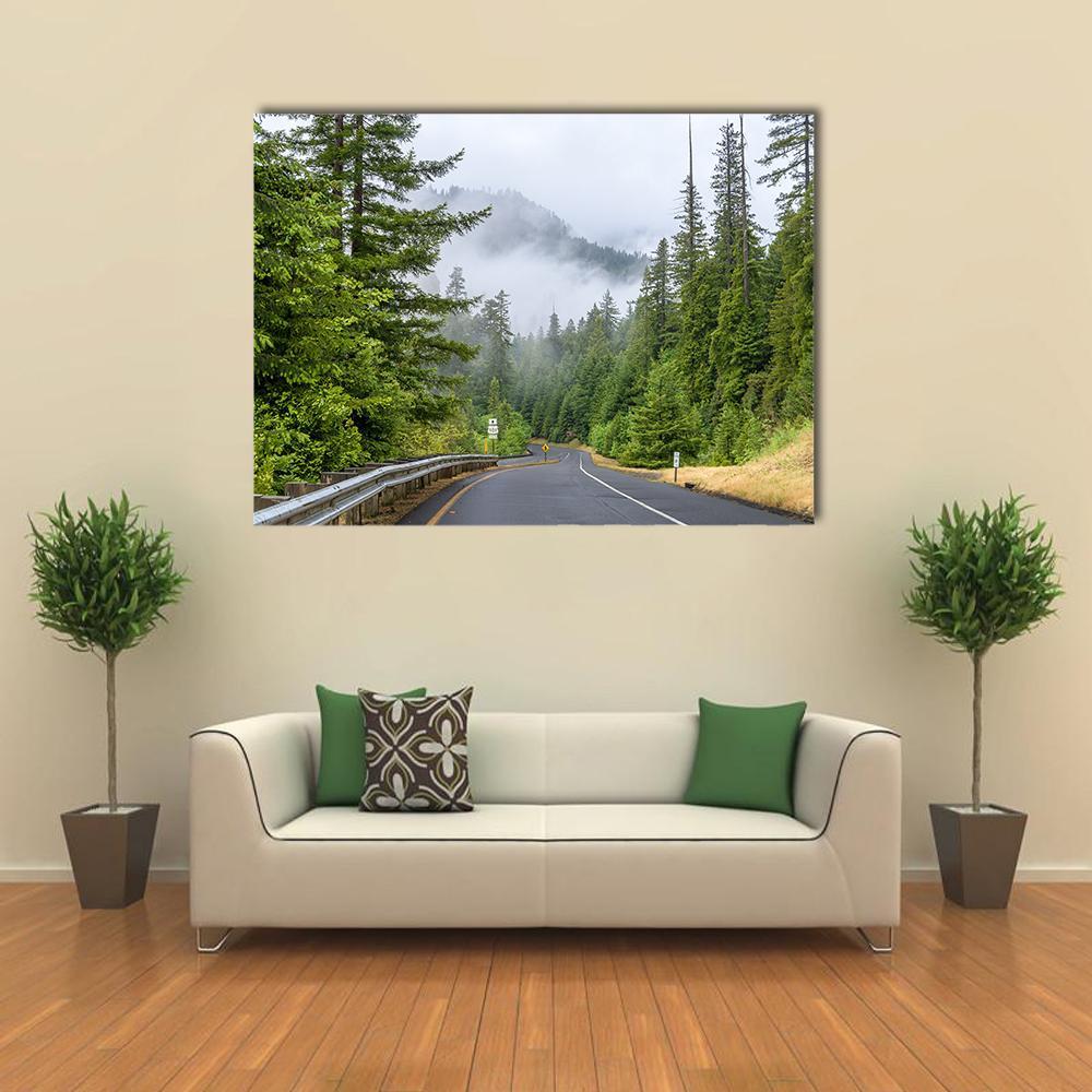 Highway in Redwood Forest Canvas Wall Art in black, gray and green, single panel hung on a wall